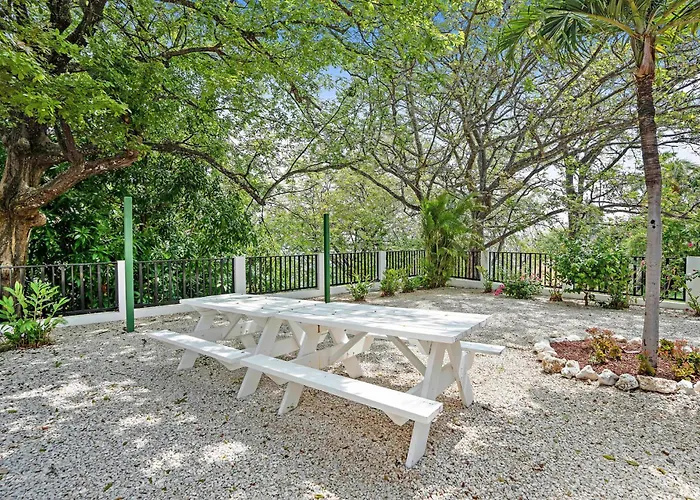 Hébergement de vacances Stylish Flamingo With Ocean Views, Renovated Kitchen & Walkable Access *